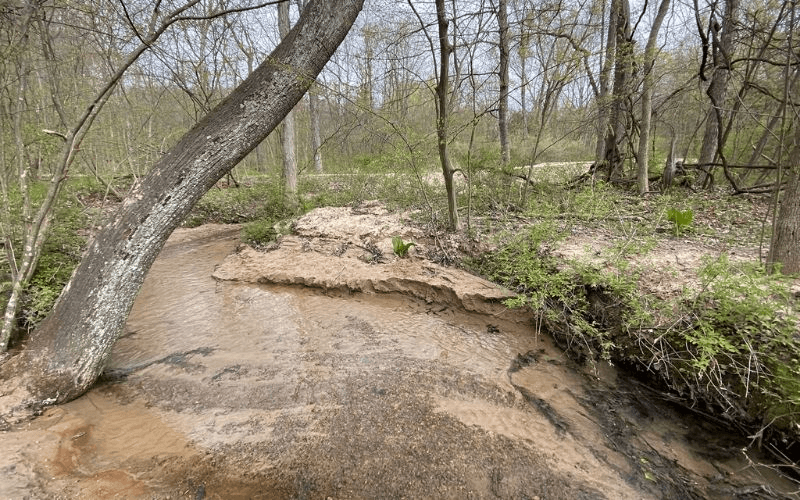 Crahen Valley Park, Grand Rapids